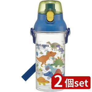 2set XP[^[ H@ΉvNA{g fBmTEX sN | H@Ή fBmTEX  v NA{g ^b`{g w {g qp LbY  vX`