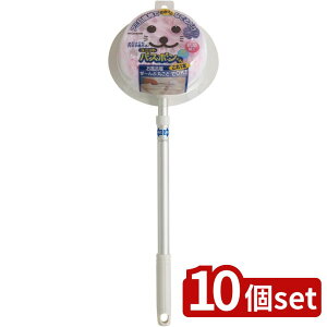 y10ZbgzRY jbgoX{NN-AL P R | jbgoX C| uV N[i[ R oX{ RY CpuV | LkuV A~ڑ@ | 