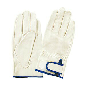 xmO[u  ؔ烌CW[^ AeȂ EX-232 LLTCY[5964] 10oZbg :FG6404