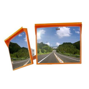 ibNKS(NAC)@ANJ[u~[@p^@600×800ʁ@ʋt@Ӕʔ@[@l][ʓrς]