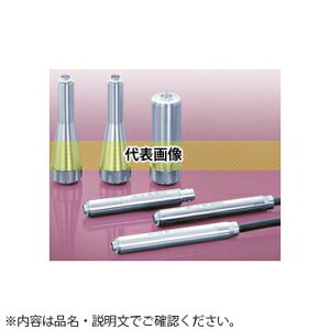 ���I��(RION)�@�v���A���v�@NH-22A�@1/2�C���`�E1/4�C���`