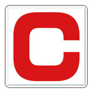 �����H�[ ���S�W�� J62-C �wC�x �ʂ�c 300×300mm �J���[�|��