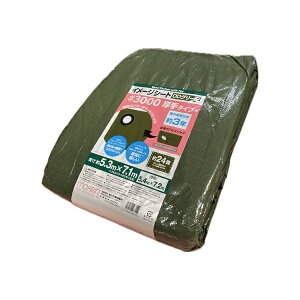  #3000 J[LODO[V[g 5.4X7.2m FML8315