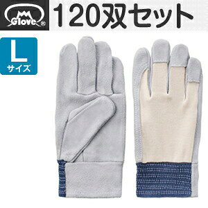 xmO[u   bX EX-120 LTCY[1226] 1120oZbg :FG0020