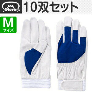 xmO[u  AX[g F-505 ؔNXg u[ MTCY[5871] 10oZbg :FG7105