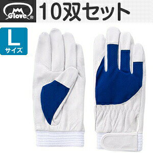 xmO[u  AX[g F-505 ؔNXg u[ LTCY[5872] 10oZbg :FG7204