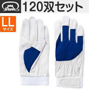 xmO[u  AX[g F-505 ؔNXg u[ LLTCY[5873] 1120oZbg :FG7303