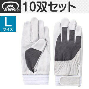 xmO[u  AX[g F-505 ؔNXg O[ LTCY[5876] 10oZbg :FG7600