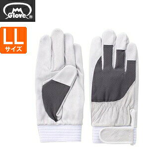 xmO[u  AX[g F-505 ؔNXg O[ LLTCY[5877] 1o :FG7709