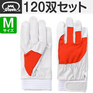 xmO[u  AX[g F-505 ؔNXg bh MTCY[5879] 1120oZbg :FG7907