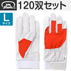 xmO[u  AX[g F-505 ؔNXg bh LTCY[5880] 1120oZbg :FG8003