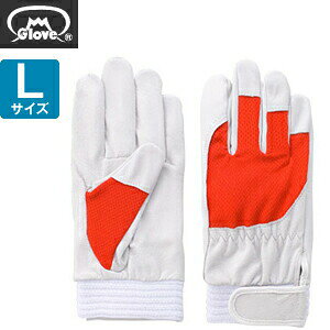 xmO[u  AX[g F-505 ؔNXg bh LTCY[5880] 1o :FG8003