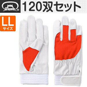 xmO[u  AX[g F-505 ؔNXg bh LLTCY[5881] 1120oZbg :FG8102
