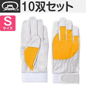 xmO[u  AX[g F-505 ؔNXg CG[ STCY[5882] 10oZbg:FG8201