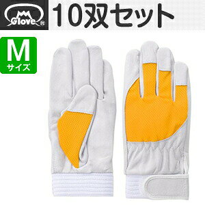 xmO[u  AX[g F-505 ؔNXg CG[ MTCY[5883] 10oZbg :FG8300