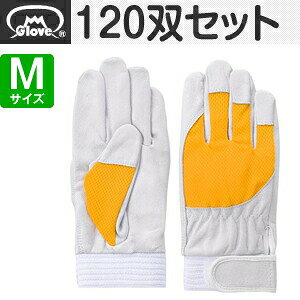 xmO[u  AX[g F-505 ؔNXg CG[ MTCY[5883] 1120oZbg :FG8300