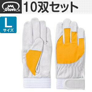 xmO[u  AX[g F-505 ؔNXg CG[ LTCY[5884] 10oZbg :FG8409