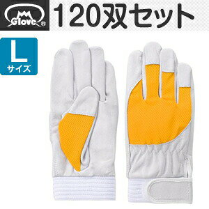 xmO[u  AX[g F-505 ؔNXg CG[ LTCY[5884] 1120oZbg :FG8409