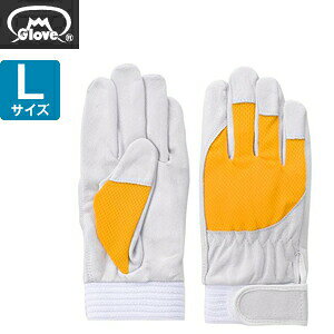 xmO[u  AX[g F-505 ؔNXg CG[ LTCY[5884] 1o :FG8409