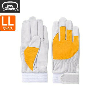 xmO[u  AX[g F-505 ؔNXg CG[ LLTCY[5885] 1o :FG8508