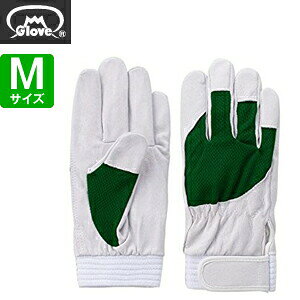 xmO[u  AX[g F-505 ؔNXg O[ MTCY[5887] 1o :FG8706