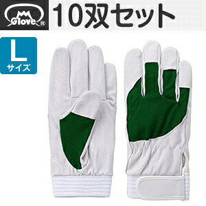 xmO[u  AX[g F-505 ؔNXg O[ LTCY[5888] 10oZbg :FG8805