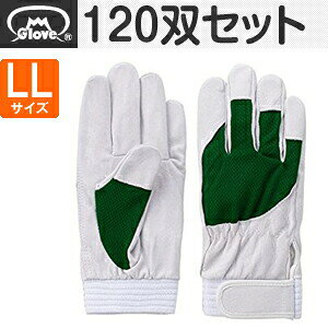 xmO[u  AX[g F-505 ؔNXg O[ LLTCY[5889] 1120oZbg :FG8904