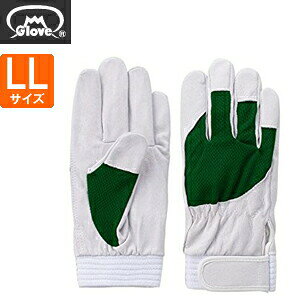 xmO[u  AX[g F-505 ؔNXg O[ LLTCY[5889] 1o :FG8904