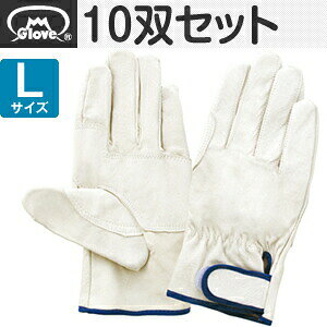 xmO[u  ؔ烌CW[^ Aet EX-233 LTCY[5913] 10oZbg :FG0027
