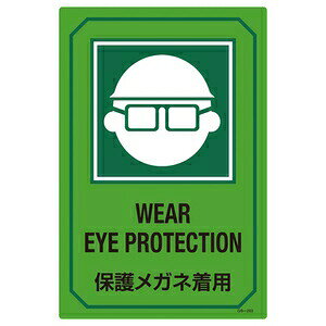 Ώ\@pTCW@GB-203@WEAR@EYE@PROTECTION@ی상Klp