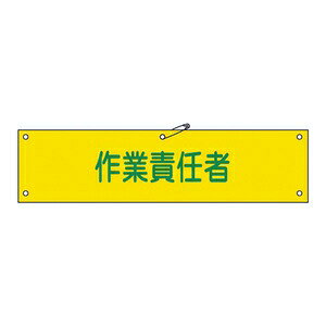 Ώ\@r-21B@ƐӔCҁ@FTCY80x360mm@ގz