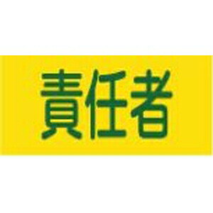 Ώ\@Sŕ@GW-6@ӔCҁ@(S)TCYF95mmxr܂300mm