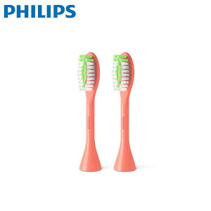 �t�B���b�v�X �u���V�w�b�h �J���[�F�T���S BH1022/01