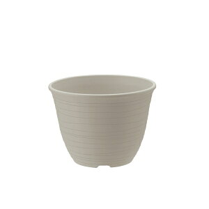 b`F GR |bg 6 W zCg [4945680702430]