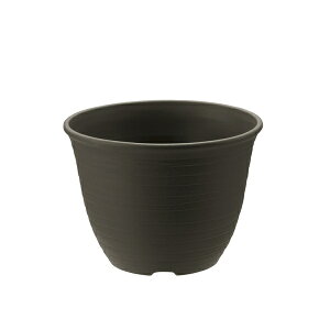 ���b�`�F�� �G�R�� �|�b�g 7�� DG �_�[�N�O���[ [4945680702485]