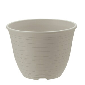 b`F GR |bg 10 W zCg [4945680702539]