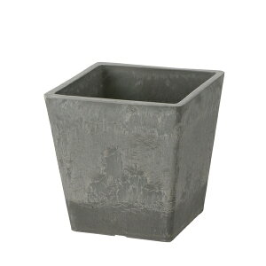 b`F {^j[ XNGA|bg 12^ LG CgO[ [4945680716352]