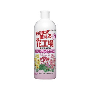 ZFw| ̂܂܉ԍH Vrp700ml 엿 t A瑣i ߕsv [4975292602606]