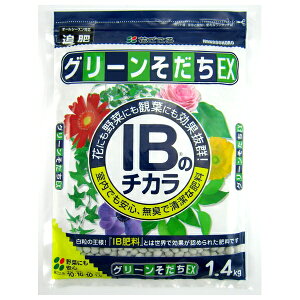 Ԃ IB̃`JO[EX 1.4kg 엿 [4977445054003]
