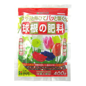 Ԃ ̔엿 400g [4977445055000]