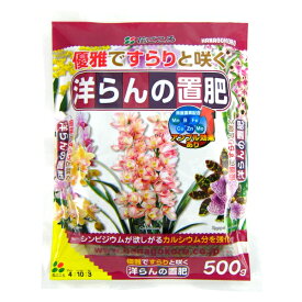 花ごころ 洋らんの置肥 500g 肥料 [4977445055307]