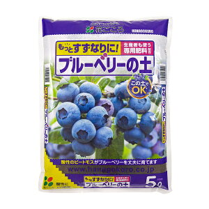 Ԃ u[x[̓y 5L [4977445075909]