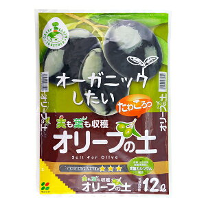 Ԃ yGETzI[u̓y 12L |{y [4977445078900]