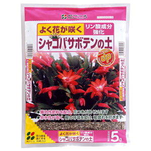 Ԃ VRoT{e̓y 5L [4977445081306]