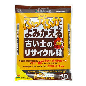 Ԃ ÂỹTCN 10L Đ 엿 [4977445085700]y݌ɗLz