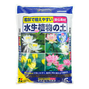 Ԃ A̓y 5L |{y [4977445086905]