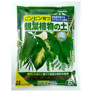 Ԃ ϗtA̓y 5L [4977445104708]