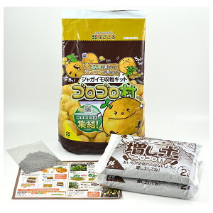 Ԃ WKCnLbgSS [4977445202800]