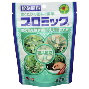 nC|lbNX v~bN ϗtAp 150g [4977517008132]