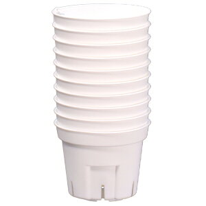 AbvEFA[ S|bg60^ 10g zCg |pi K[fjO  v^[